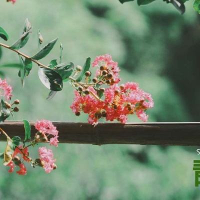 半岛·综合中国官方网站